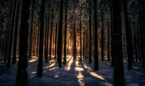 What the Cold Knew First